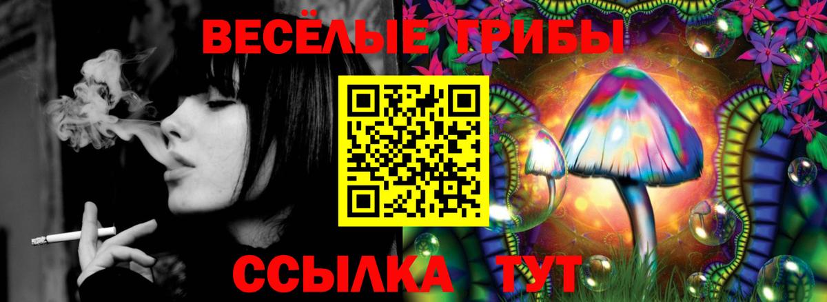 Галлюциногенные грибы прущие грибы Нерюнгри
