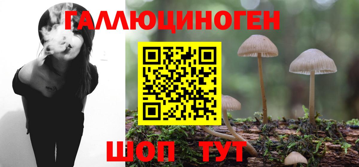 Нерюнгри  Галлюциногенные грибы MAGIC MUSHROOMS  Вход с VPN 